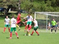 IMG_0951