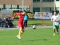 IMG_2424